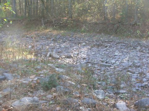 1996 Ford Bronco - A dry streambed covered in rocks, with a forest in the background.