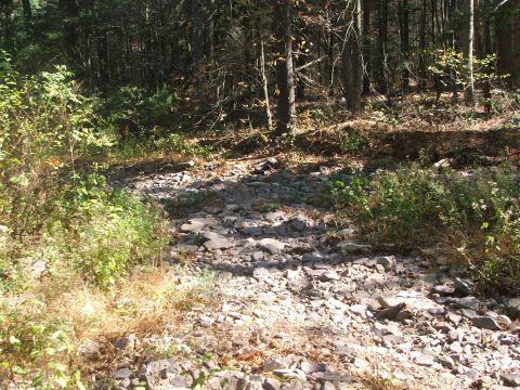 1996 Ford Bronco - A dry creek bed or path is covered in rocks and surrounded by trees and brush.