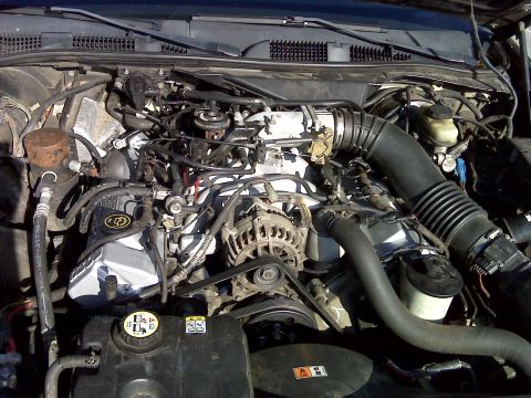 2001 Ford Crown Victoria - Close-up view of a vehicle's engine bay, a Ford logo on the valve cover.