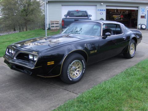 1978 Pontiac Firebird photo