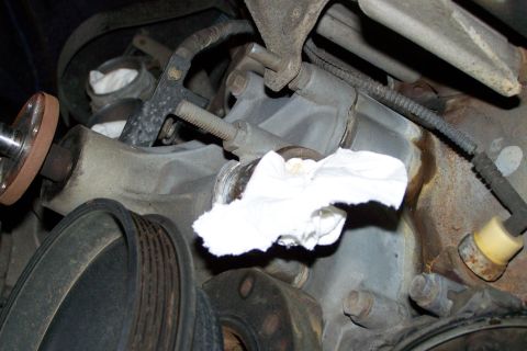 1996 Ford Bronco - You can see where the coolant was seeping at the block gasket.