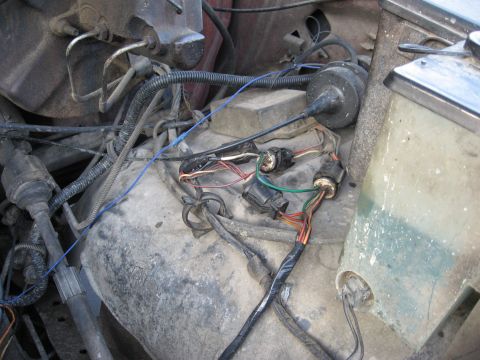 1981 Ford Bronco - Close-up view of a vehicle's engine bay wiring harness, showing multiple connectors and exposed wires.