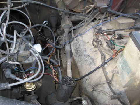 1981 Ford Bronco - Wide overhead shot of a grimy engine bay showing white spark plug wires running to the distributor, a gold mechanical fuel pump, and an oil…