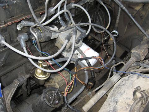 1981 Ford Bronco - Close-up down into a dirty engine bay showing the distributor cap with white spark plug wires routed across the intake, a gold-anodized mec…