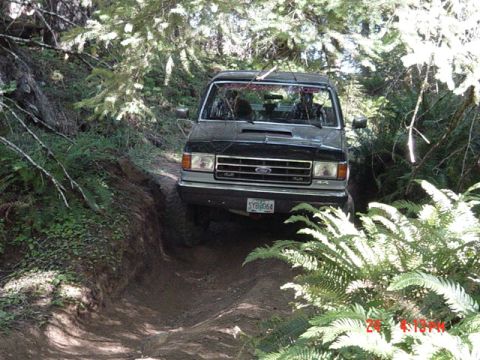 1989 Ford Bronco - Another from that trail