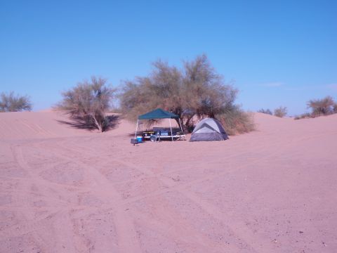 1982 Ford Bronco - A desert campsite is set up with a tent and a shaded area for relaxing under a clear blue sky.