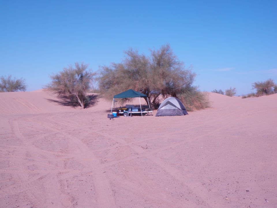 Desert campsite with a tent and a canopy over a table and cooler, surrounded by sand dunes and scrubby trees