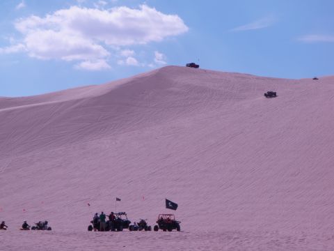 1982 Ford Bronco - Multiple off-road vehicles are seen traversing sand dunes on a sunny day.
