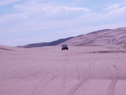 1982 Ford Bronco - A truck navigates sandy terrain, leaving tire tracks behind.
