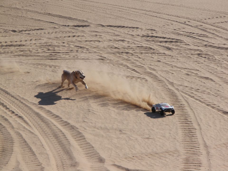 Remote control car kicking up dust with a dog running alongside on sand dunes. SUPERMOTORS.NET logo visible