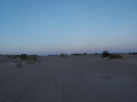1982 Ford Bronco - Tire tracks mark a path through a desert landscape under a twilight sky with the moon visible.