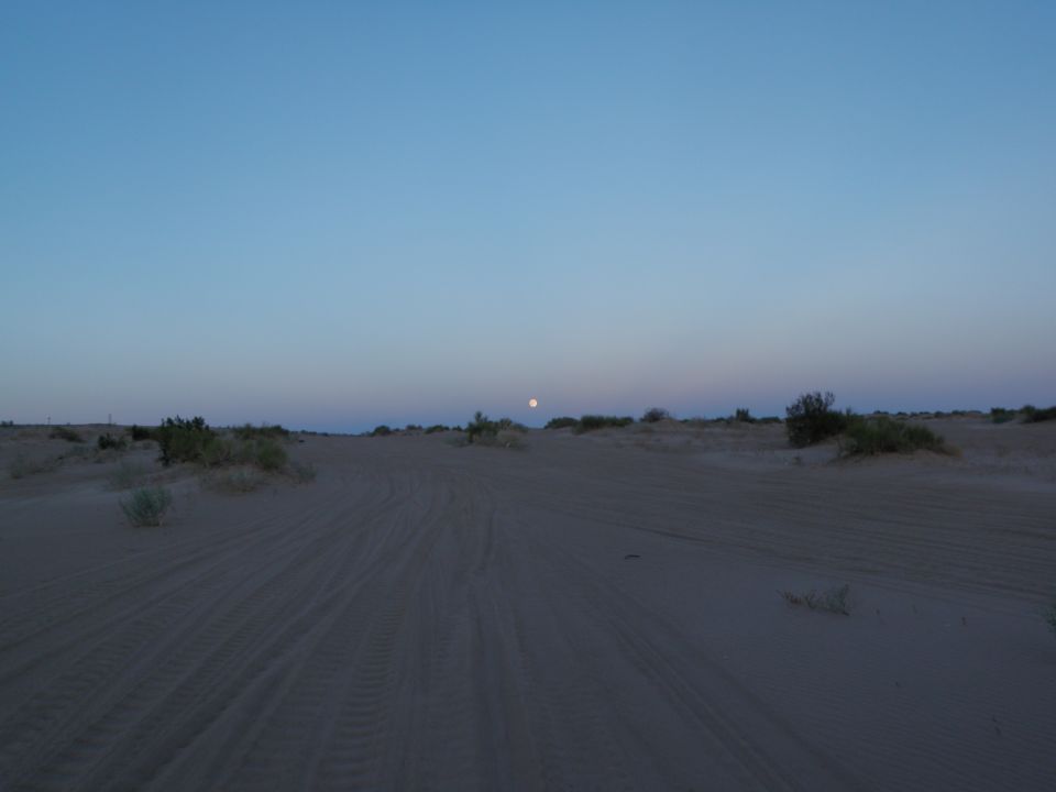 Desert landscape with tire tracks under a clear blue sky with a visible moon