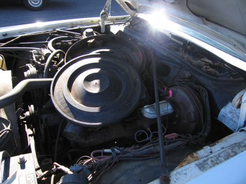 1991 Ford LTD Crown Victoria - The engine bay of a 1991 Ford Crown Victoria LTD, showing the air cleaner and various engine parts.