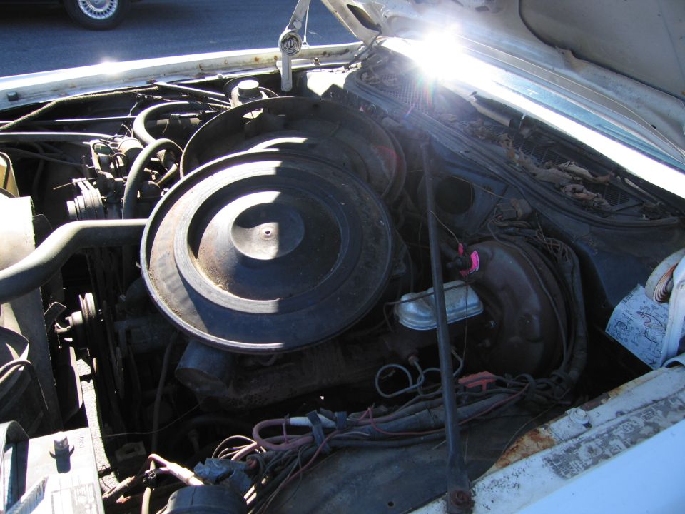 White 1991 Ford Crown Victoria LTD engine bay with a large air cleaner and visible engine components