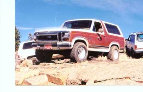 1984 Ford Bronco photo