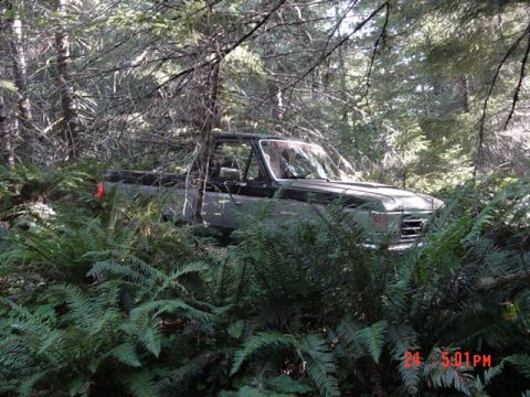 1989 Ford Bronco - I was driving down a parallel trail on Archers