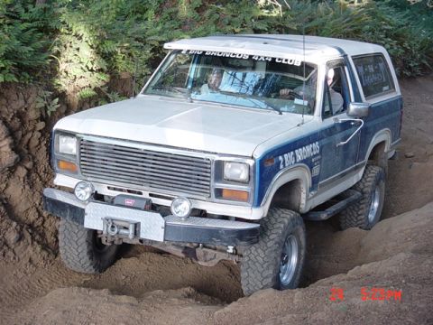 1989 Ford Bronco - Good pic