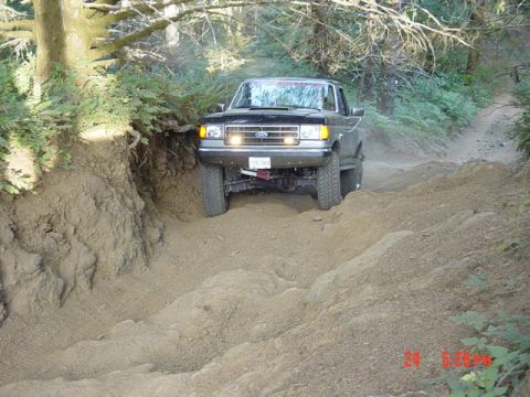 1989 Ford Bronco - I was sooo close to the root