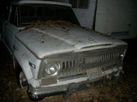 1976 Jeep J-10 - This 1976 Jeep J-10 pickup truck, seen from the front, is covered in leaves and appears to be in a state of disrepair.