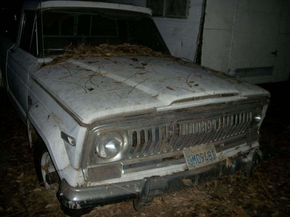 Front view of a white 1976 Jeep J-10 pickup truck covered in leaves