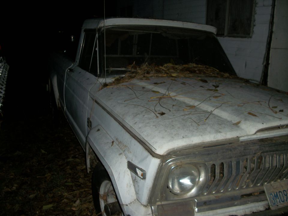 1976 Jeep J-10 pickup truck, white, covered in leaves, parked outdoors