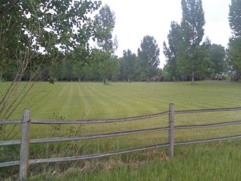 1987 Ford Bronco - My dream property in Northern Colorado. There is a 4 bed house behind the tree line in the back.