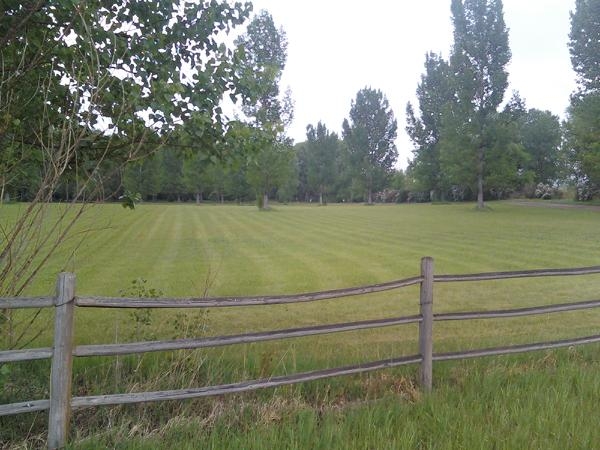 My dream property in Northern Colorado.  There is a 4 bed house behind the tree line in the back.