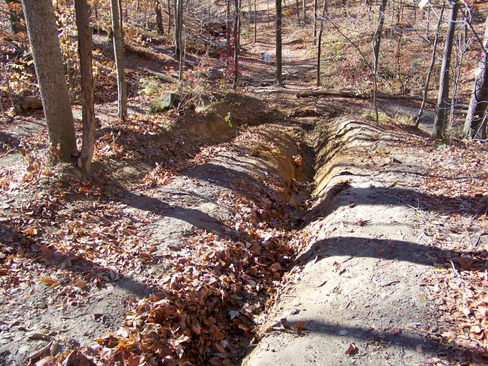 Dirt trail with deep ruts and fallen leaves in a wooded area