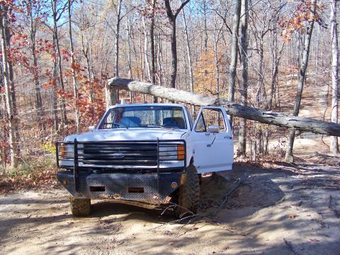 1987 Ford F-250 - This 1987 Ford F-250 is seen navigating a challenging off-road trail with a fallen tree obstructing its path.