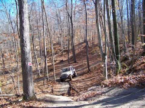 1987 Ford F-250 - An off-road vehicle navigates a trail in a forest during the fall season.