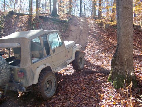 1987 Ford F-250 - A tan Jeep Wrangler navigates a steep, leaf-covered dirt trail through a forest during an off-road excursion.