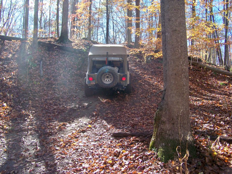 Jeep CJ-7 with canvas top driving uphill on a dirt trail covered in autumn leaves