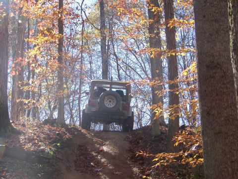 1987 Ford F-250 - A Jeep Wrangler navigates an off-road trail surrounded by trees with fall foliage.