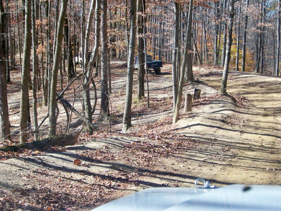 Dark blue pickup truck parked on a dirt road in a forest, with a white truck visible in the distance