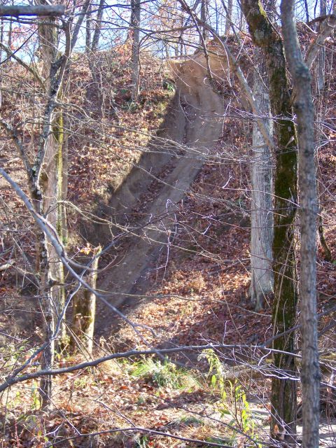 1987 Ford F-250 - A dirt path winds down a steep, wooded slope covered in fallen leaves.