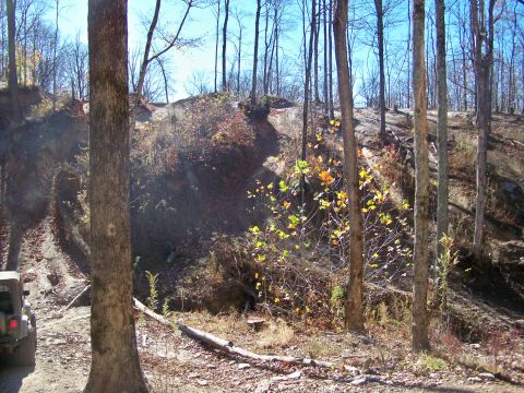 1987 Ford F-250 - A Jeep Wrangler navigates a dirt path through a wooded area during an off-road excursion.