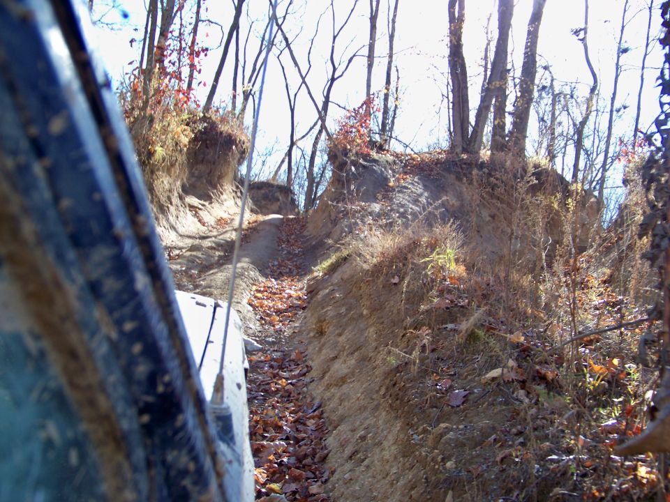 View from inside a vehicle on a narrow, leaf-strewn off-road trail