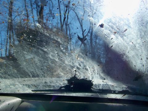 1987 Ford F-250 - Driving through mud left the windshield completely obscured.