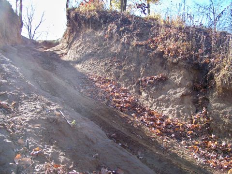1987 Ford F-250 - A steep, eroded dirt hill with tire tracks suggests off-road vehicle use in an autumn setting.