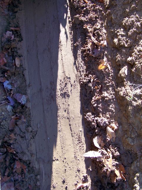 1987 Ford F-250 - Tire tracks indicate off-road activity in a muddy area with fallen leaves.