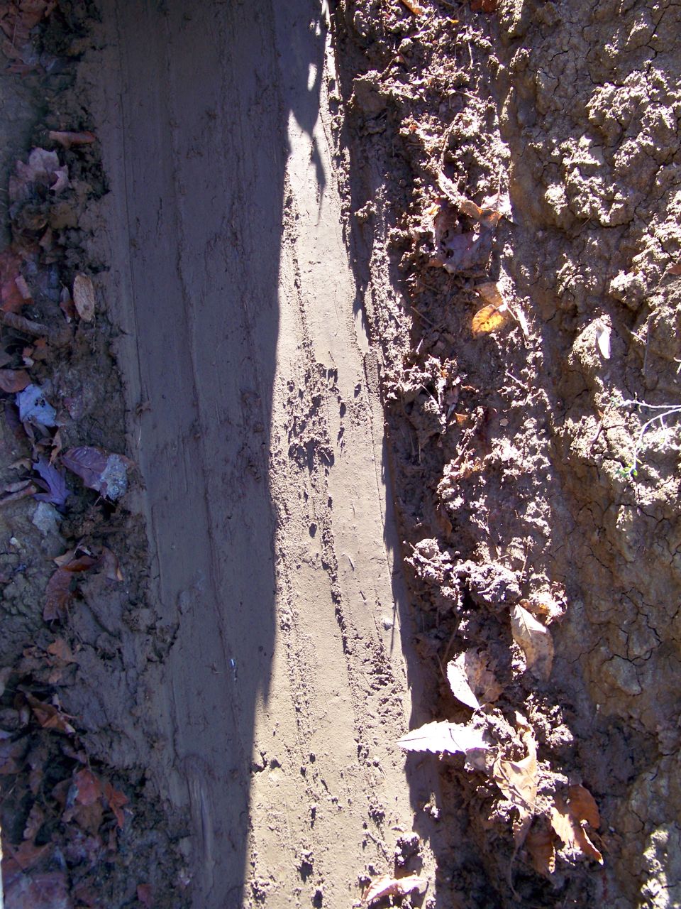 Tire tracks in dry mud with scattered leaves and debris. A shadow falls across the left side