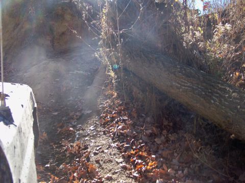 1987 Ford F-250 - A truck navigates a rough dirt path, passing by a large fallen tree on the side of the trail.