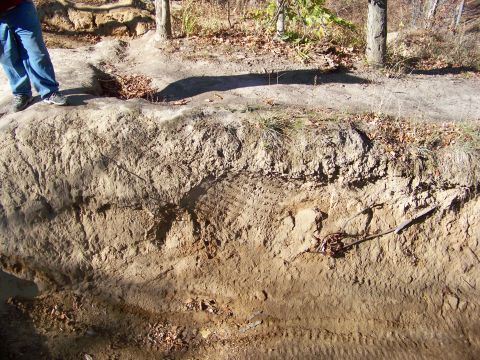 1987 Ford F-250 - Tire tracks are visible on a dirt embankment, suggesting off-road activity.