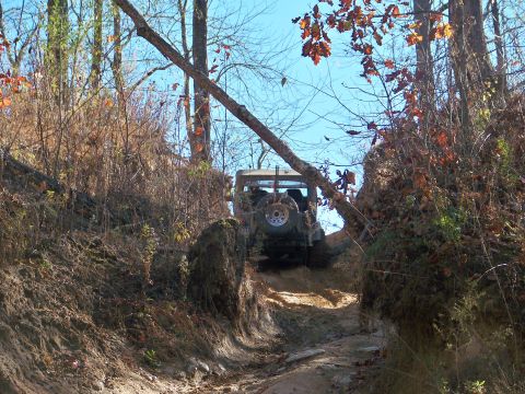 1987 Ford F-250 - Vehicle driving on a challenging off-road trail surrounded by trees and foliage.