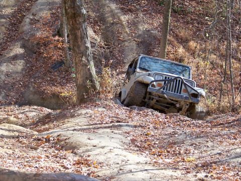 1987 Ford F-250 - Jeep Wrangler navigating a steep, wooded trail with fallen leaves covering the ground.