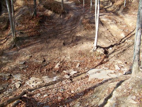 1987 Ford F-250 - A wooded area with a rough dirt path winding through it, covered in fallen leaves.