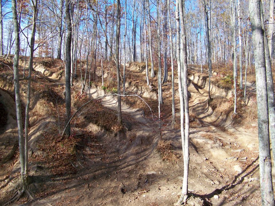 Dirt trail winding through a forest with bare trees and fallen leaves