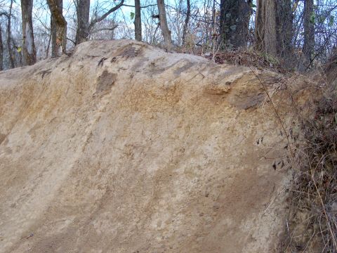1987 Ford F-250 - A close-up of a dirt embankment with trees in the background.