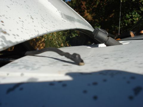 1992 Ford C-350 (Centurion Conversions) - Air Temp Sensor