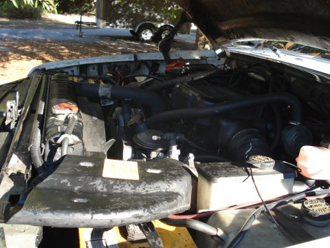 1992 Ford C-350 (Centurion Conversions) - The engine bay of a vehicle, showing the radiator, hoses, and engine components.